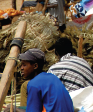 Construction and property maintenance in East Africa